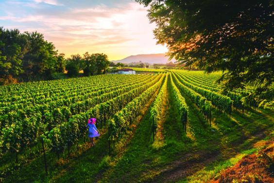 Monticelli Brusati Il Poggio 아파트 외부 사진